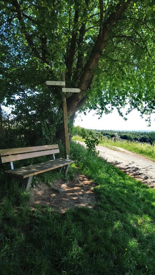 Kaefernberg - Weinhotel Alzenau in Unterfranken Eksteriør bilde