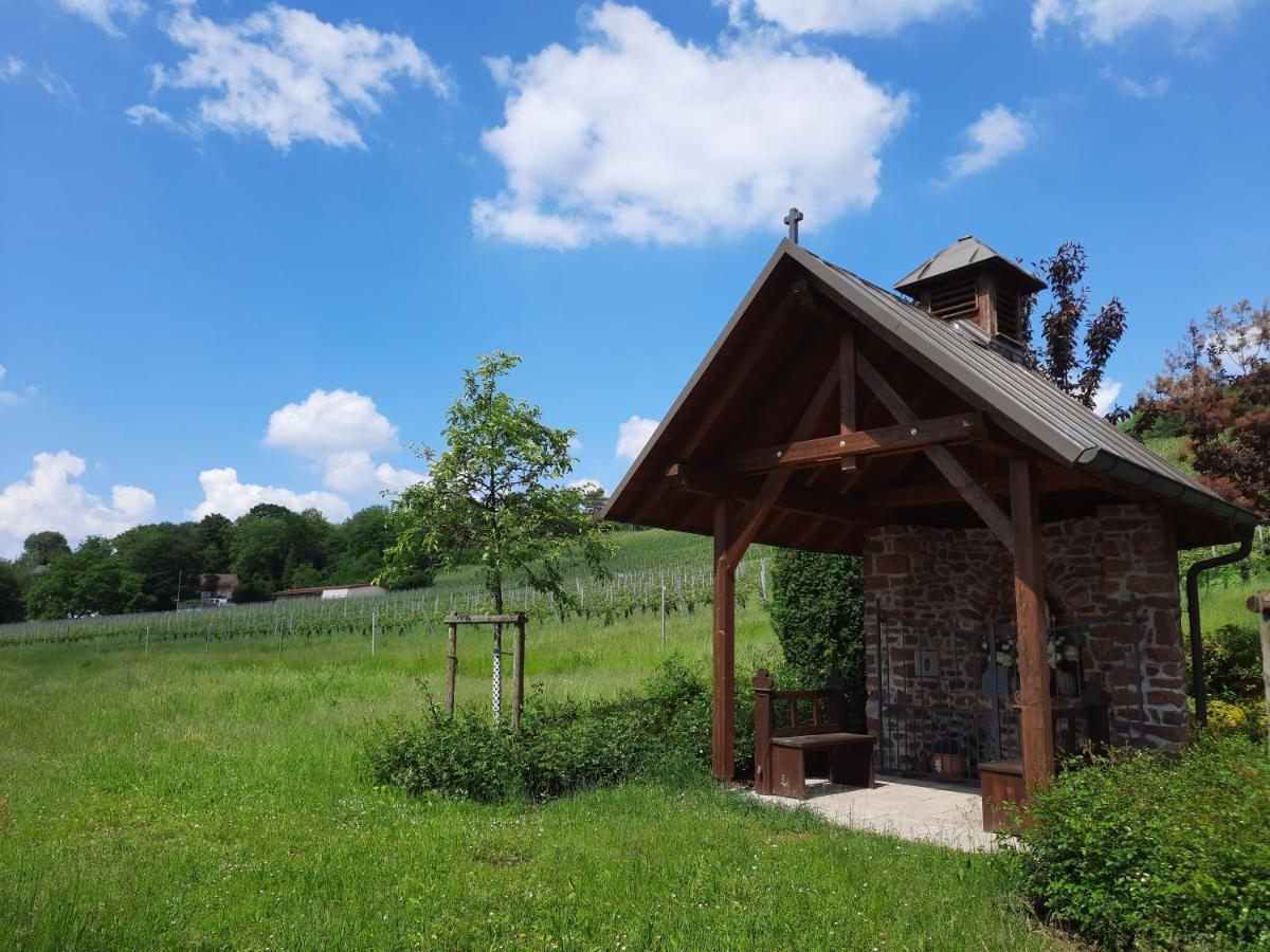 Kaefernberg - Weinhotel Alzenau in Unterfranken Eksteriør bilde