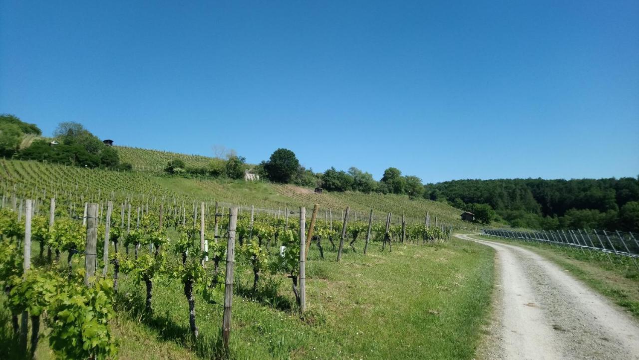 Kaefernberg - Weinhotel Alzenau in Unterfranken Eksteriør bilde